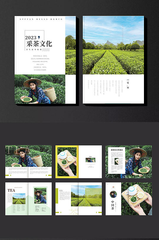 简约茶园采茶项目茶文化宣传画册-众图网