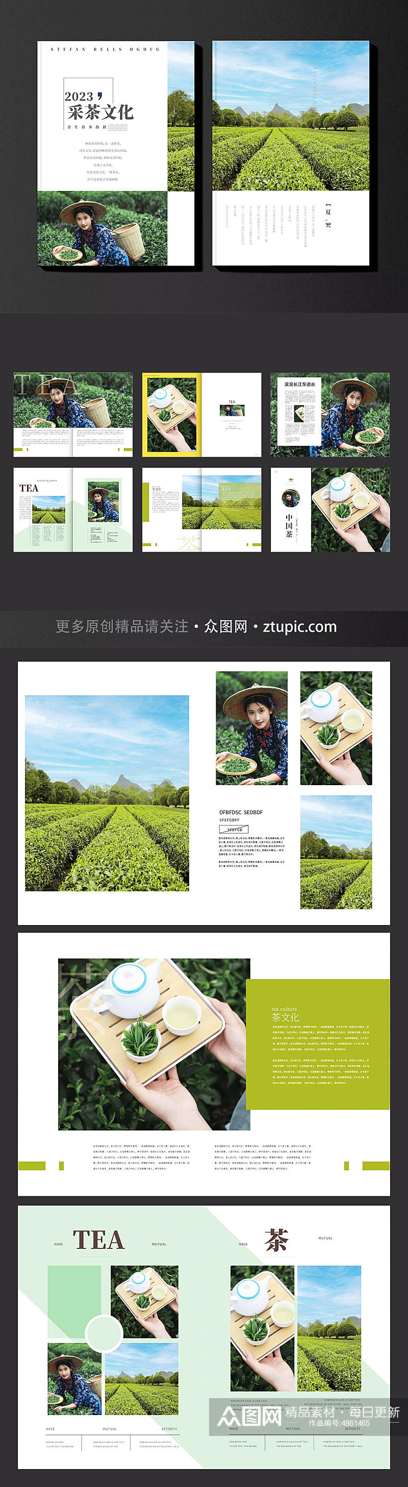 简约茶园采茶项目茶文化宣传画册素材
