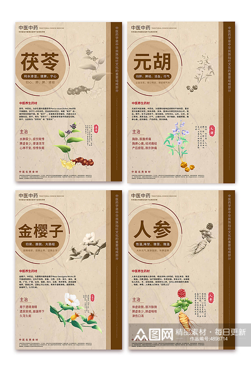 中国风中医中药药材宣传系列海报素材