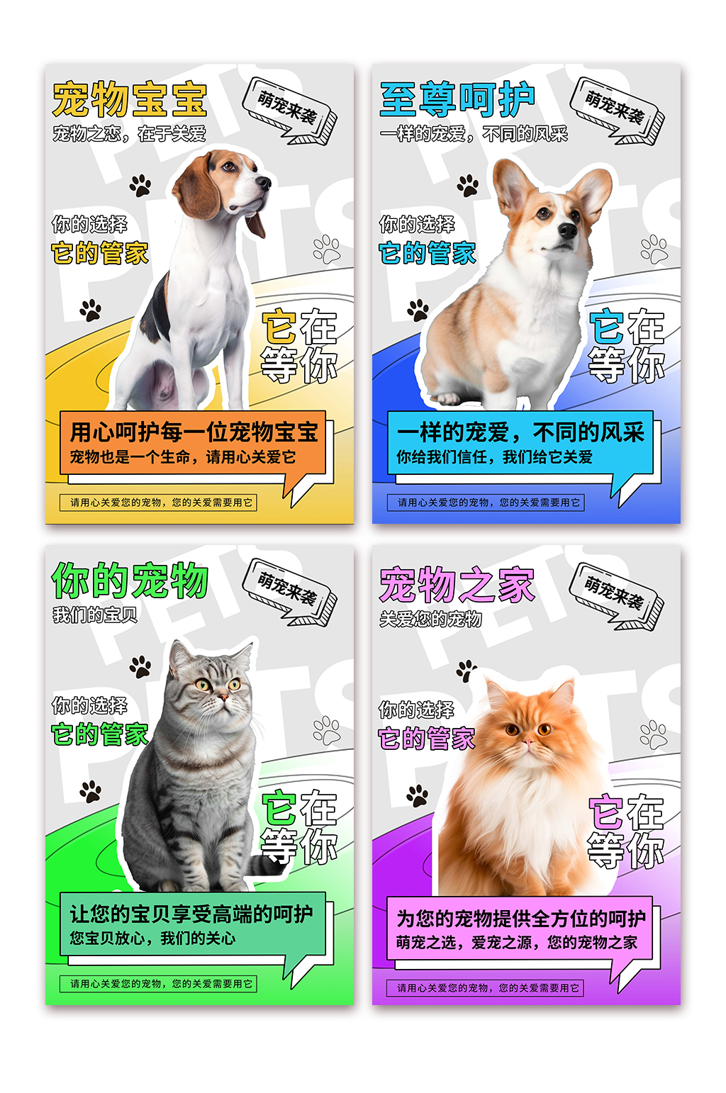 描边宠物店医院系列萌宠摄影图宣传海报素材