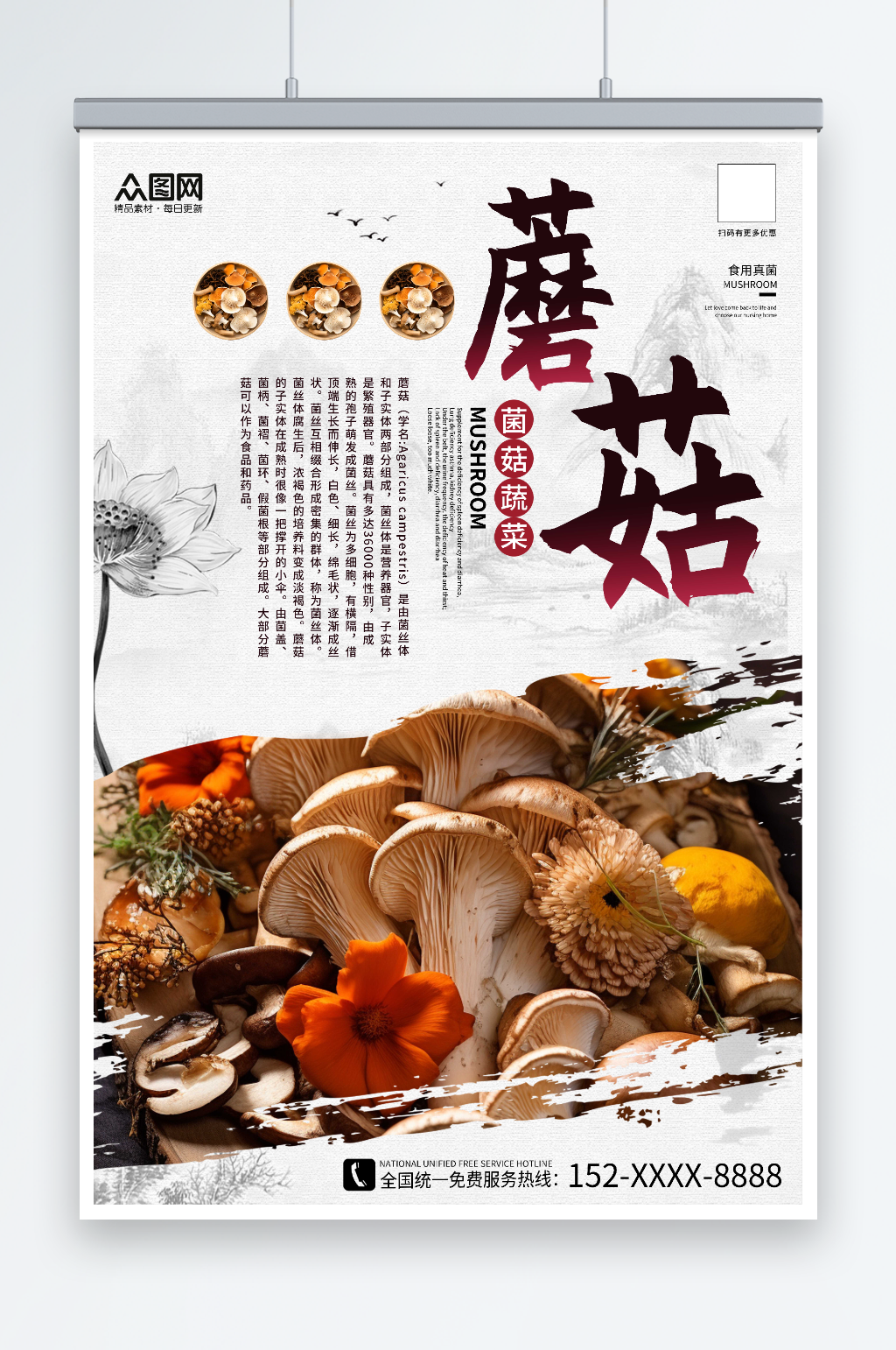 国风蘑菇菌菇蔬菜海报素材
