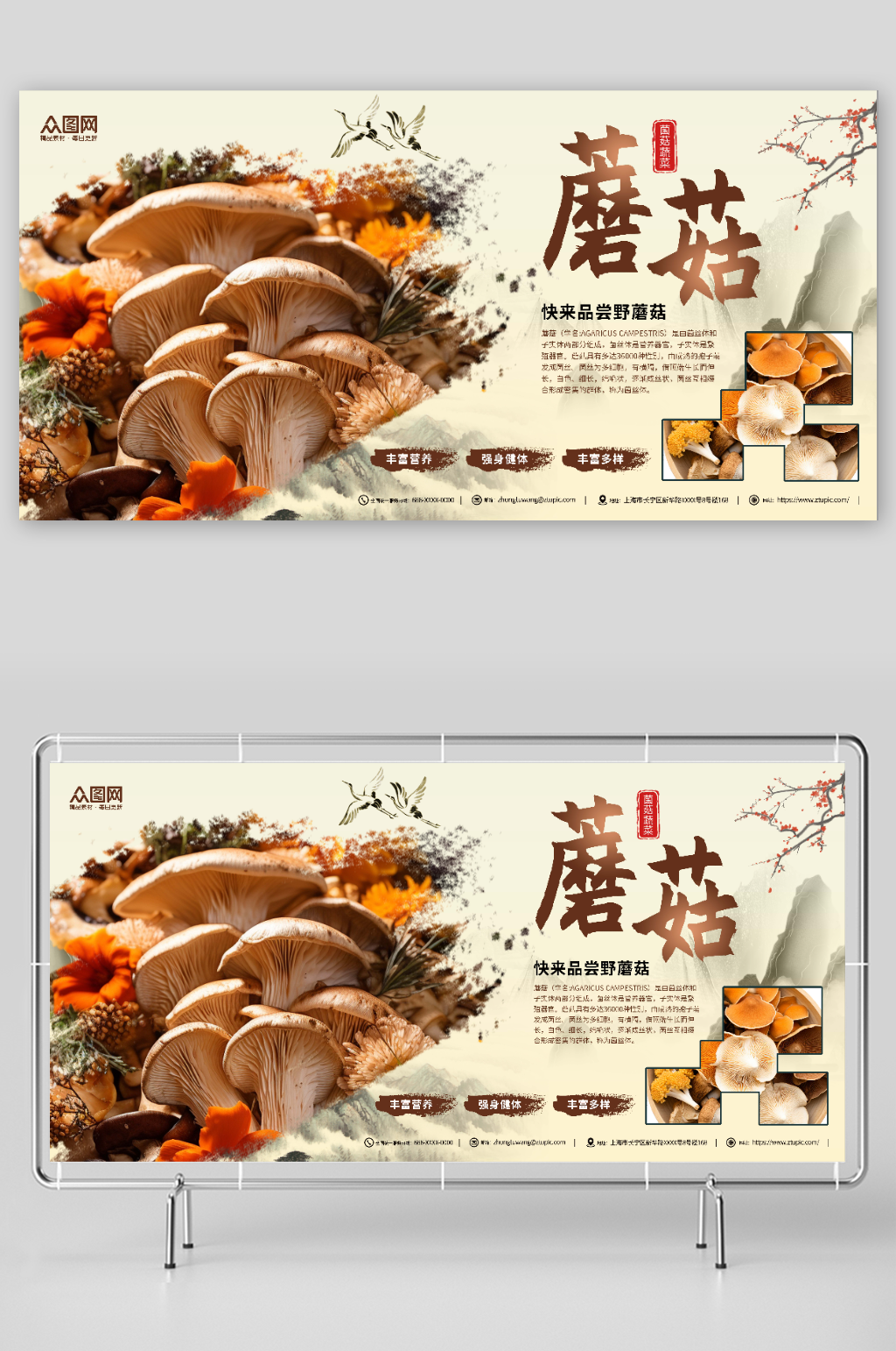 国风蘑菇菌菇蔬菜展板素材