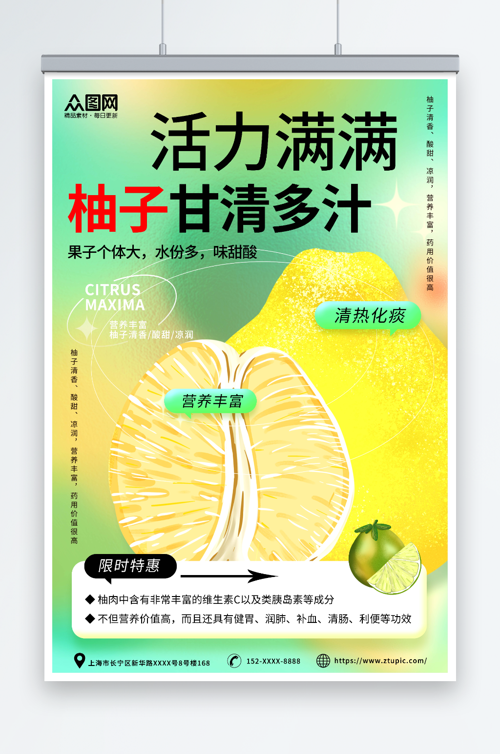 创意风柚子水果海报素材