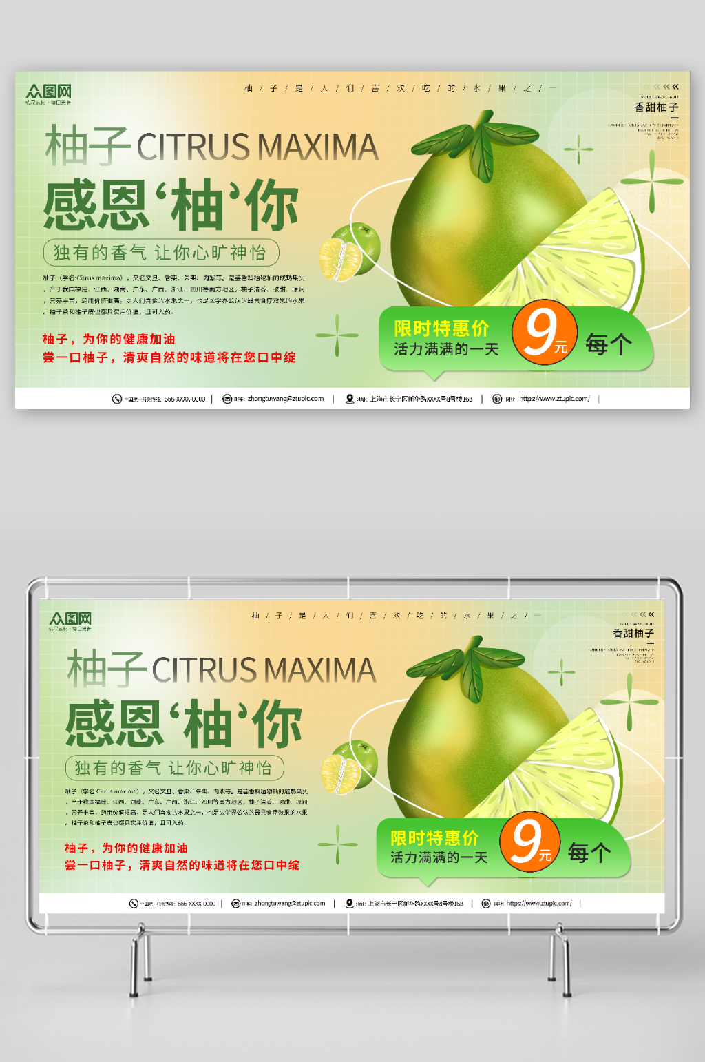 清新风风柚子水果展板素材