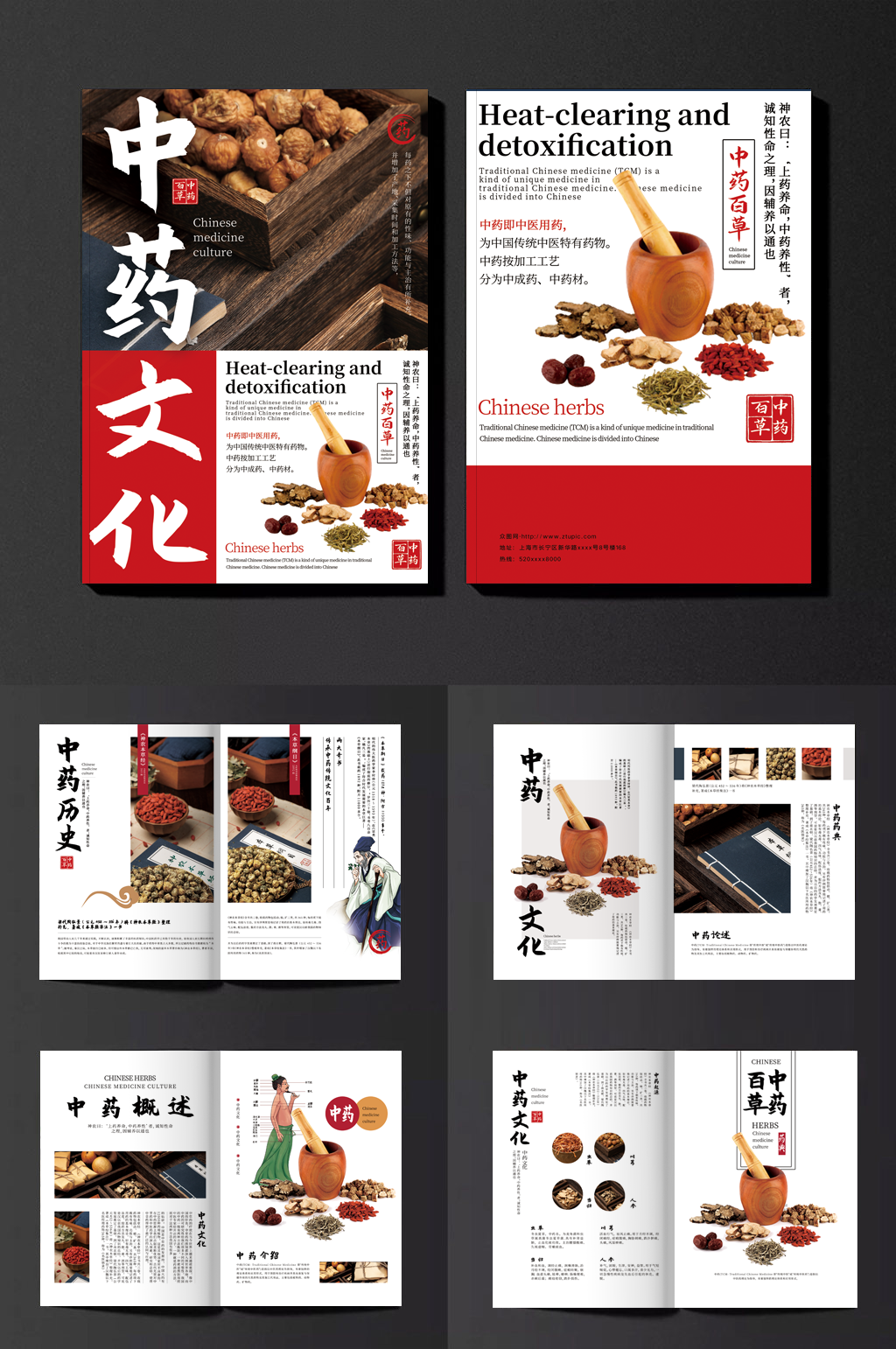红色中医中药药材介绍宣传画册素材