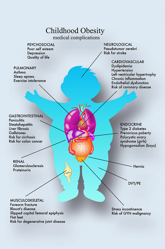 儿童肥胖病症解析图医学器官解剖插图