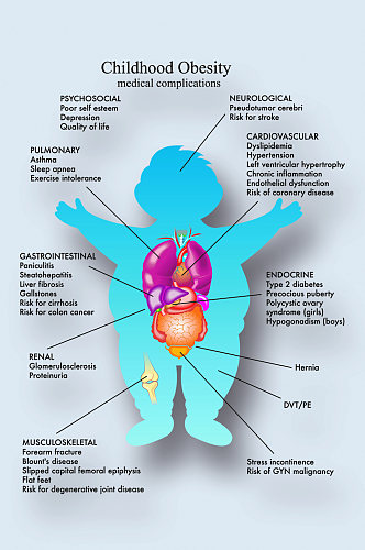 儿童肥胖病症解析图医学器官解剖插图