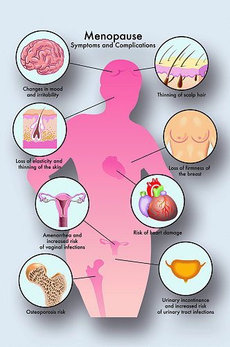 更年期病症解析图医学器官解剖插图