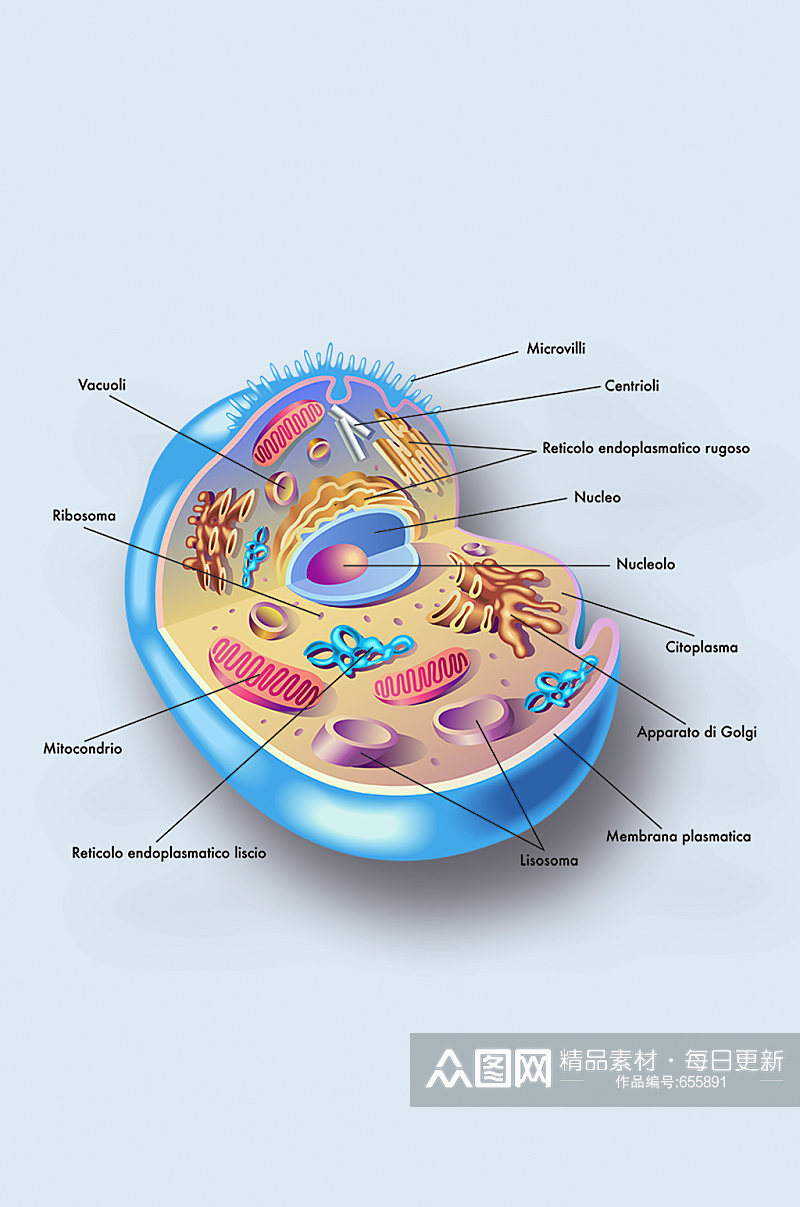 人体细胞病症解析图医学器官解剖插图素材