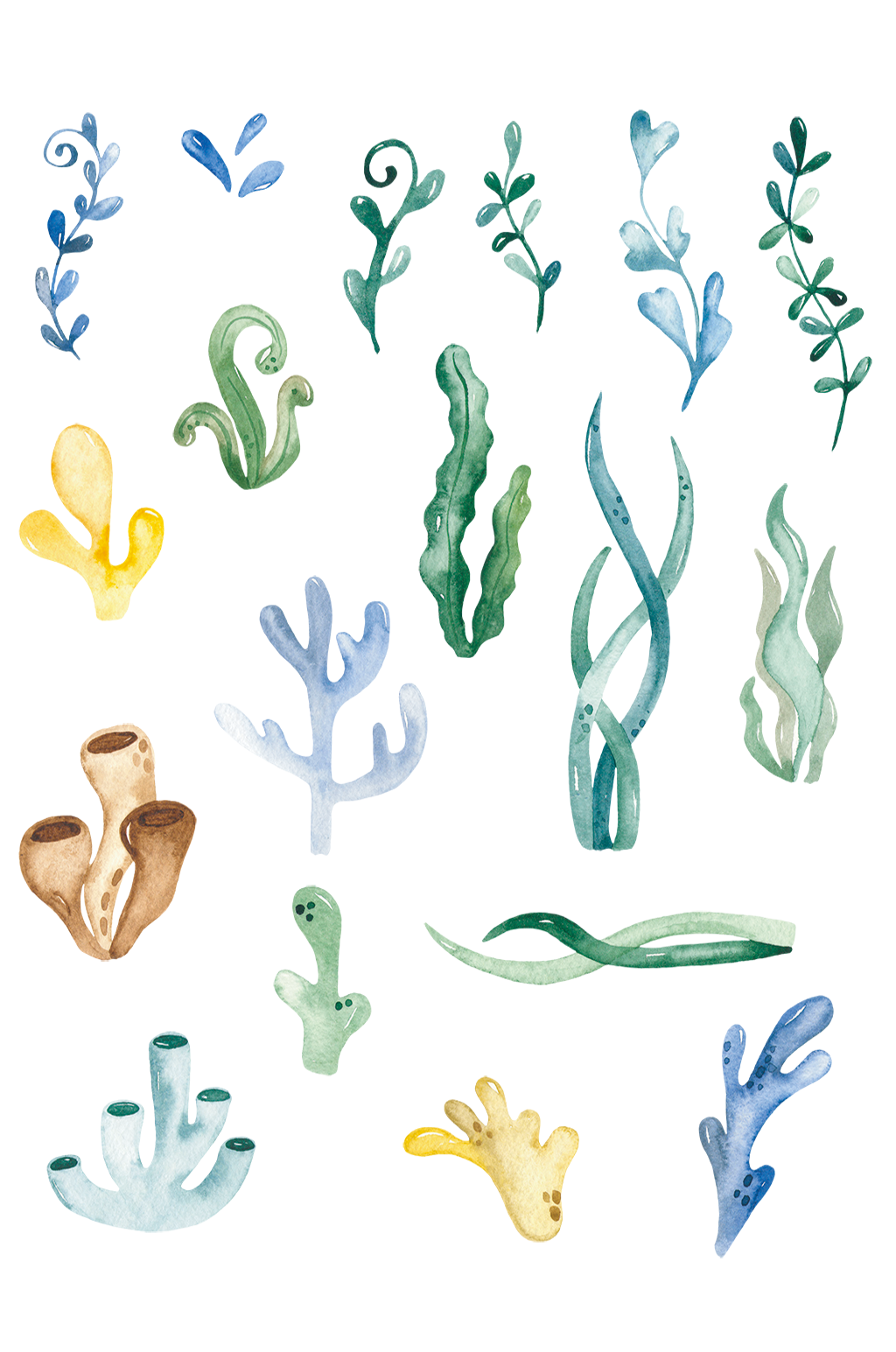 手绘水彩画风格儿童海洋植物免扣素材素材