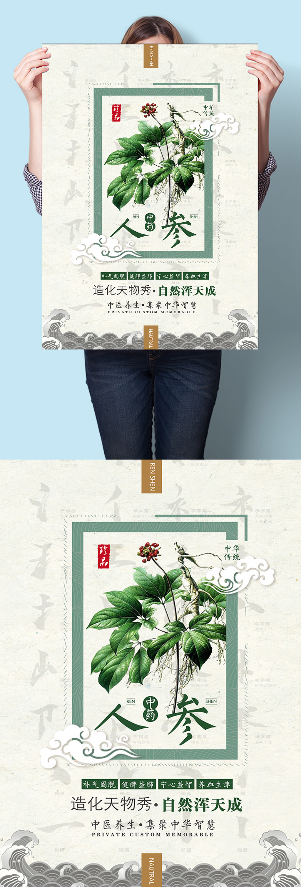 中医中药草药人参海报挂图素材
