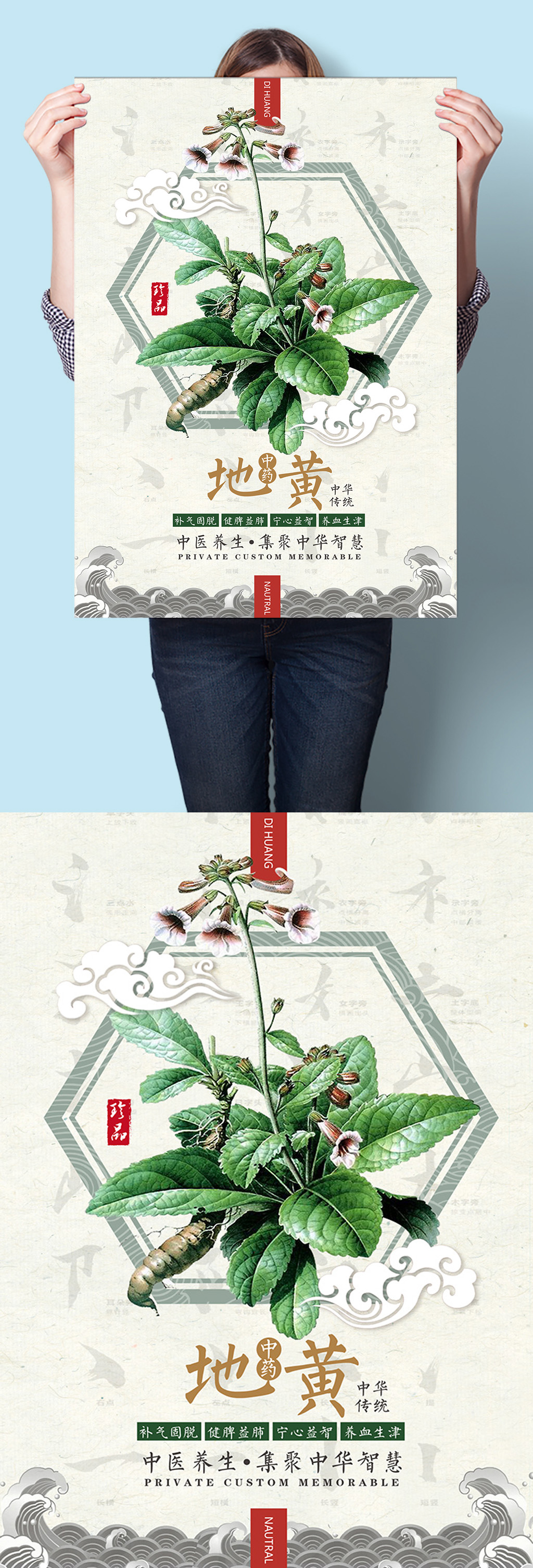 中医中药草药海报挂图素材