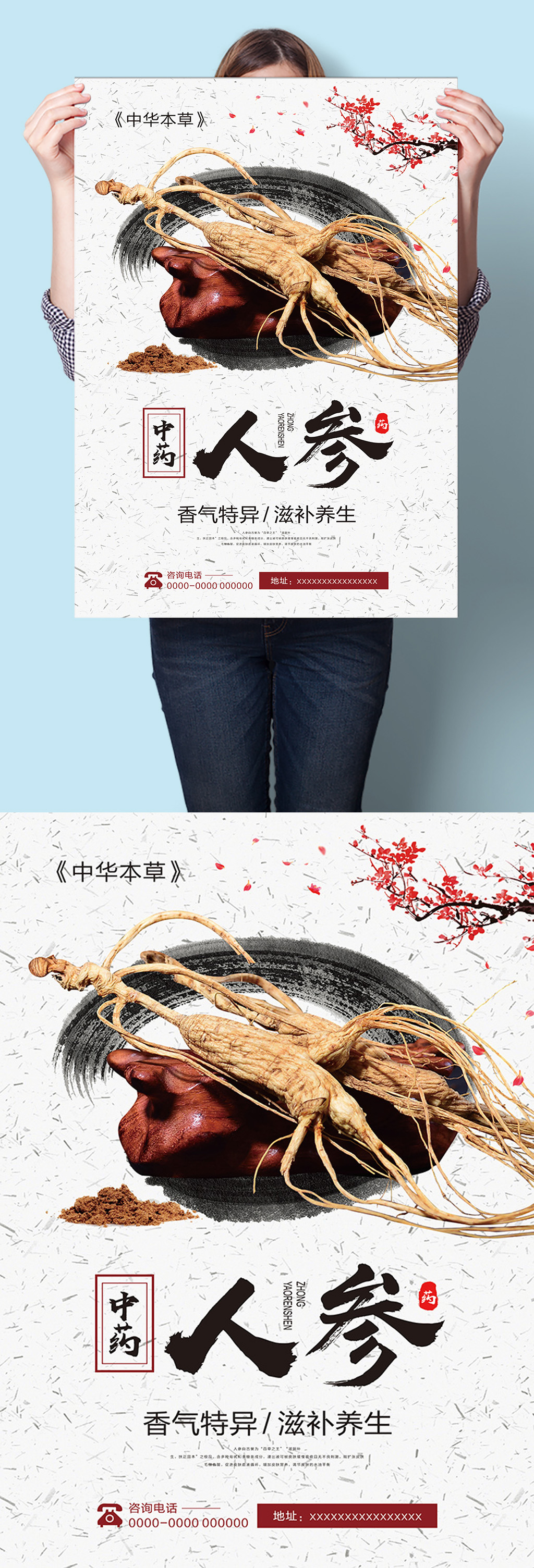 人参中医中药草药海报挂图素材