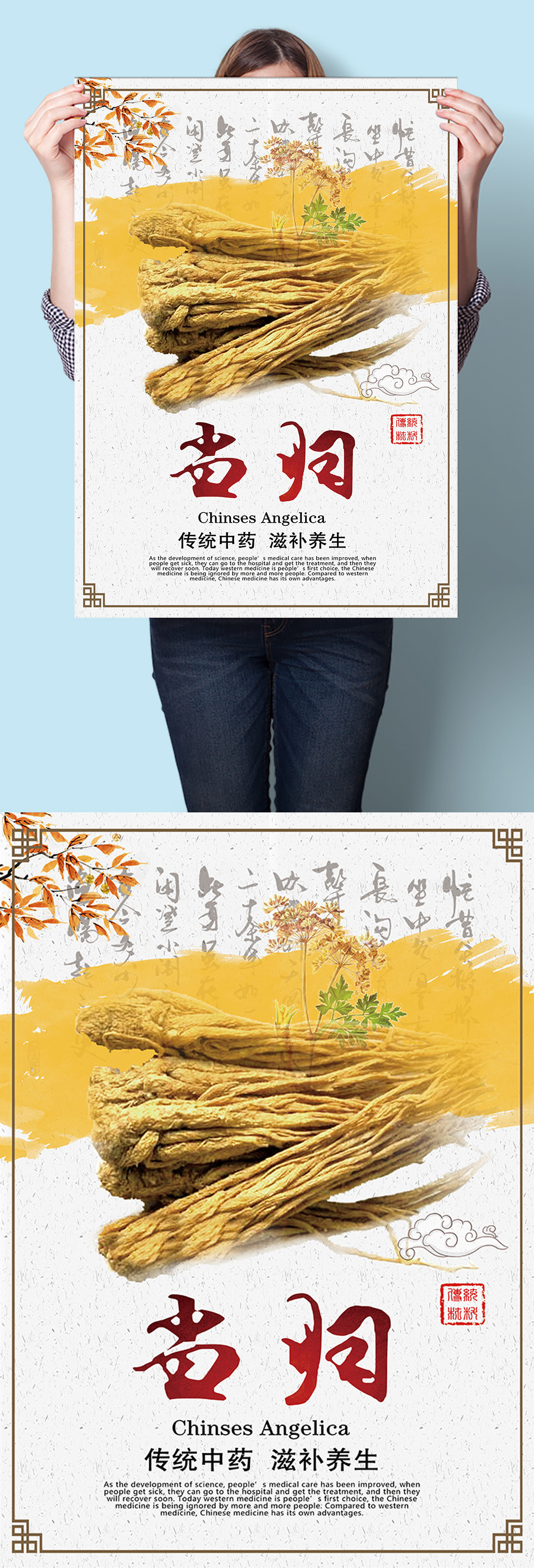 当归中医中药草药海报挂图素材