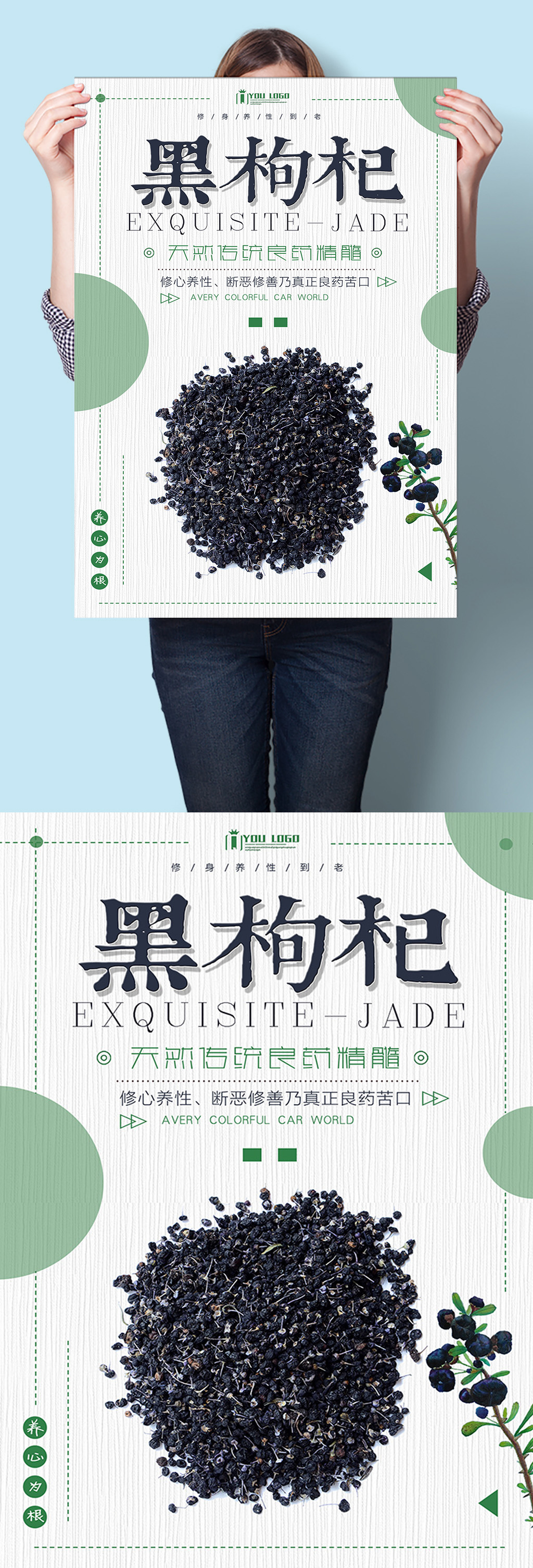 黑枸杞中医中药草药海报挂图素材