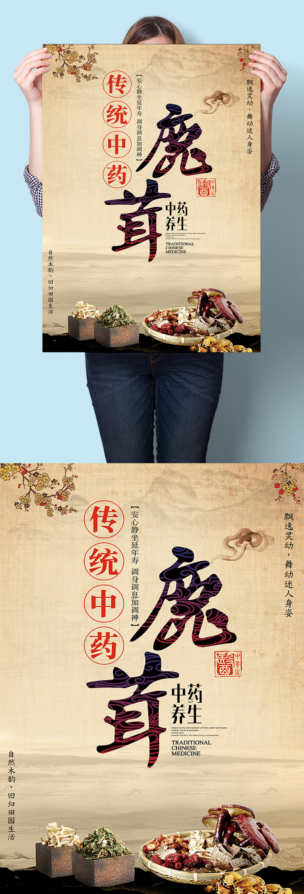 鹿茸中医中药草药海报挂图 中药材展板素材