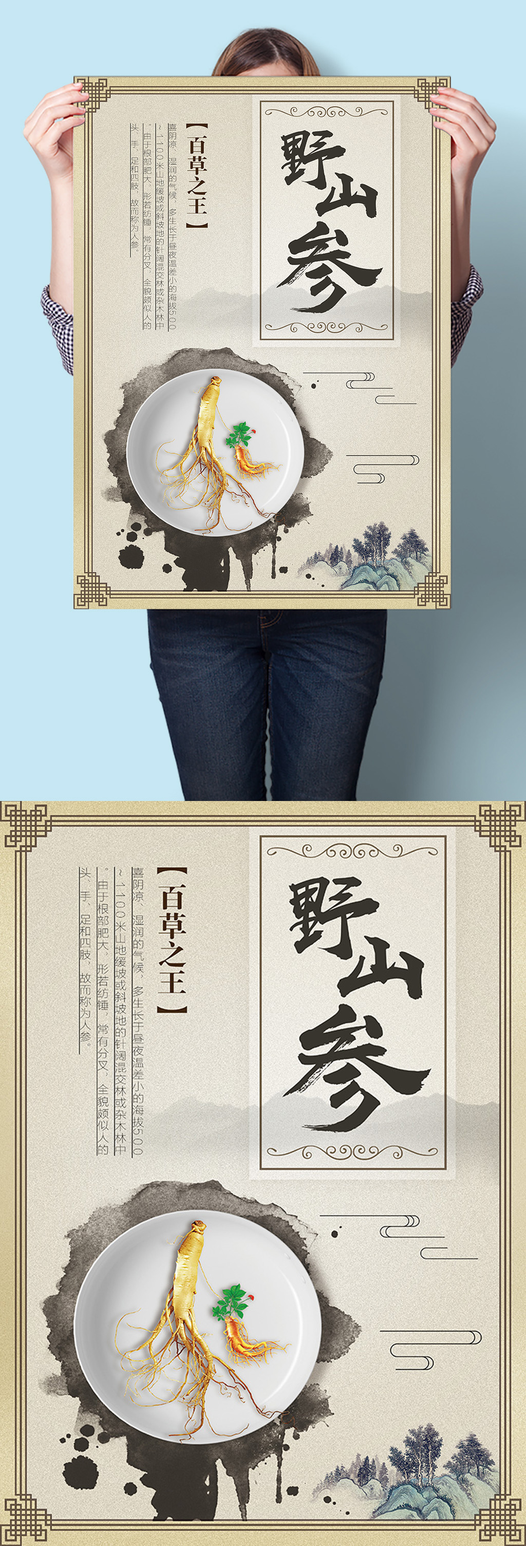 百草之王野山参中医中药草药海报挂图素材