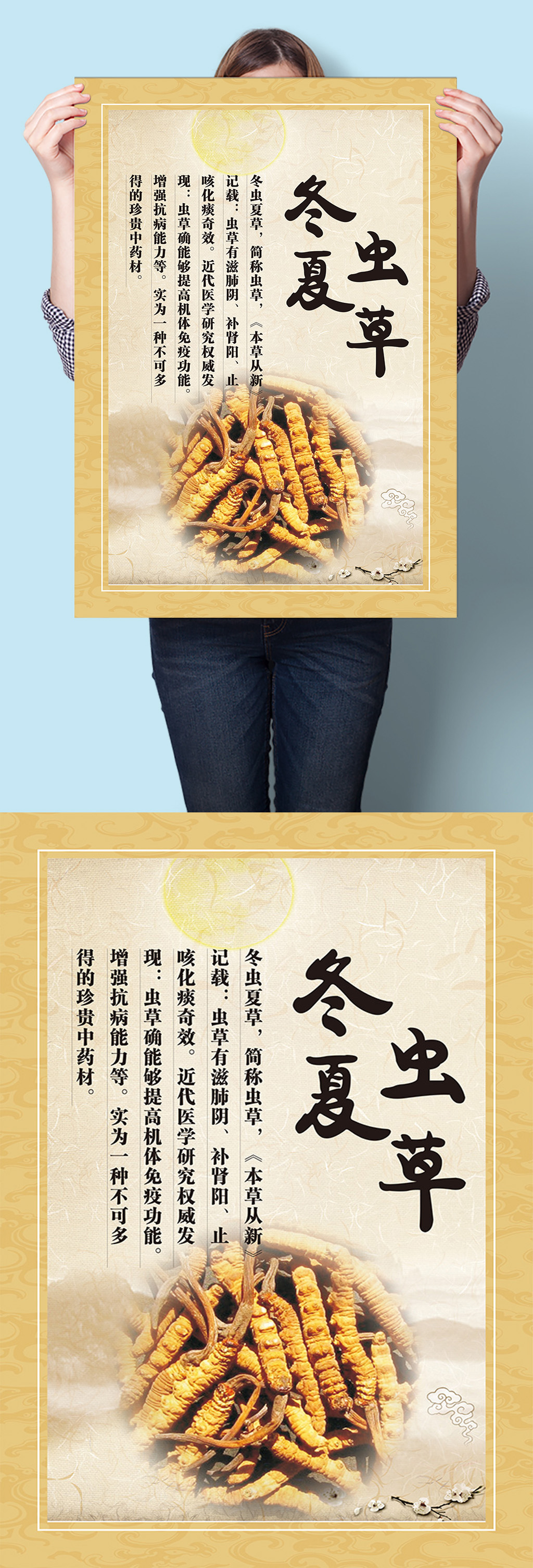 冬虫夏草中医中草药材海报挂图墙画素材