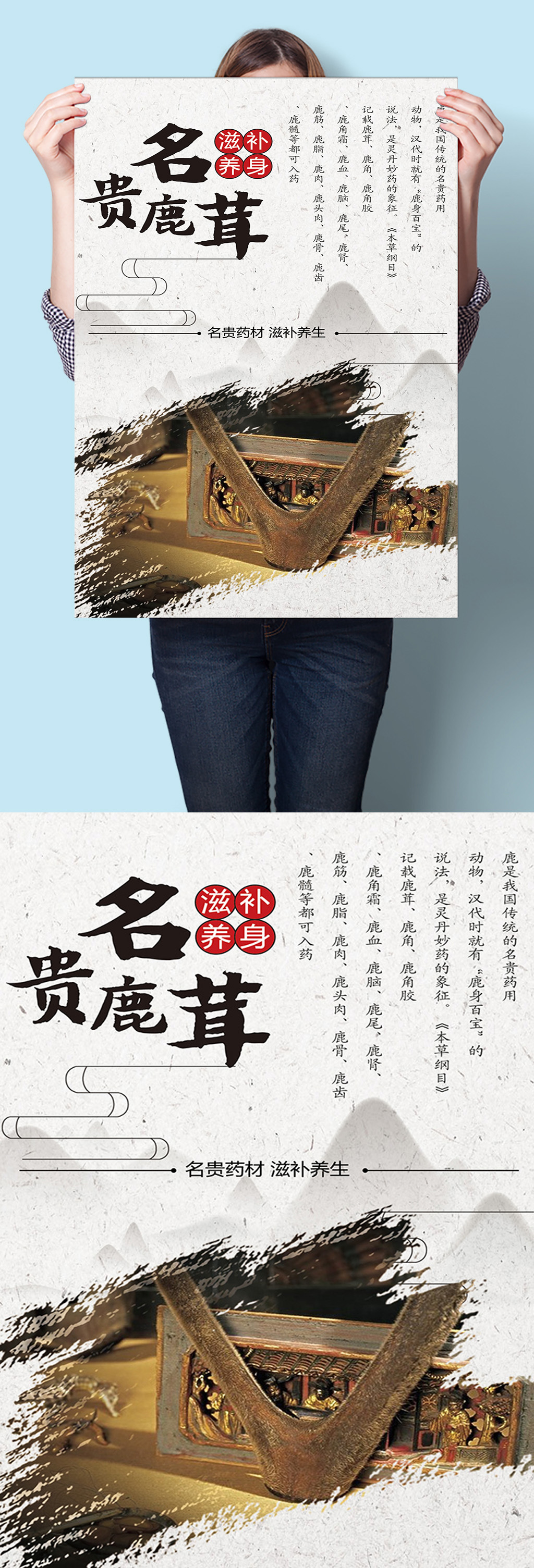 鹿茸中医中草药材海报挂图墙画素材