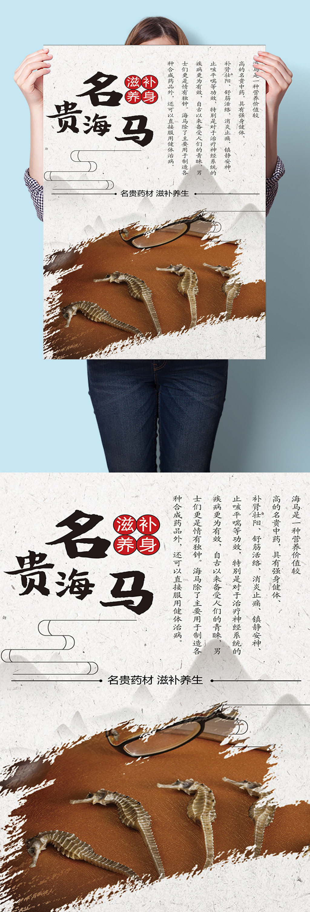 海马中医中草药材海报挂图墙画素材