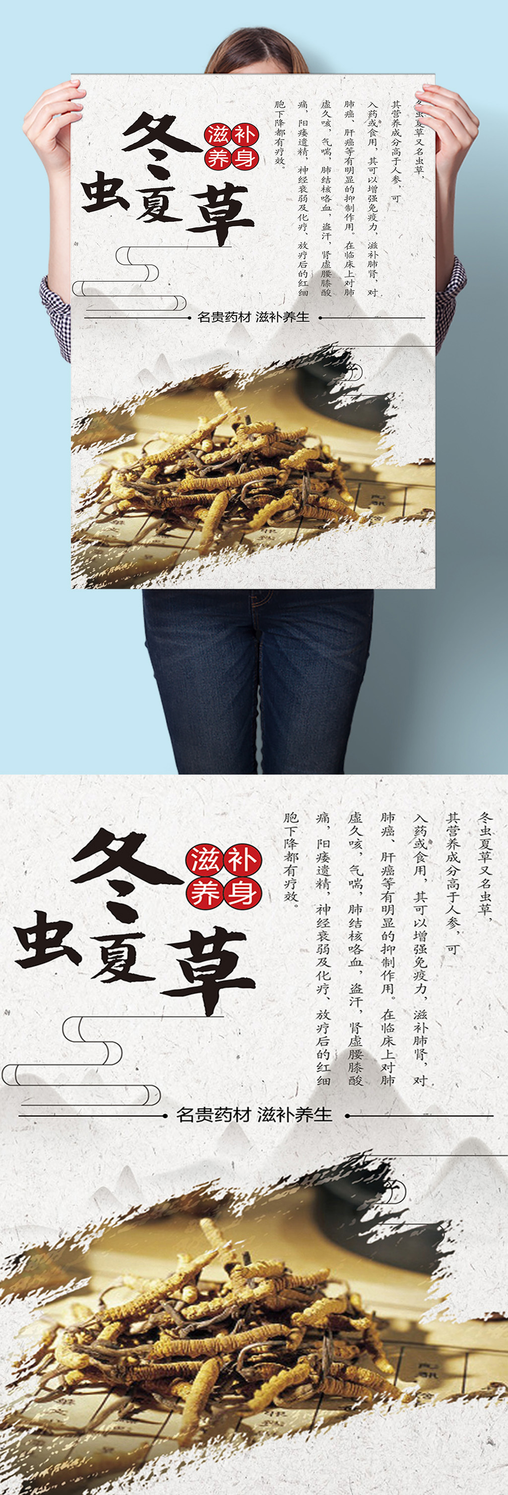 冬虫夏草中医中草药材海报挂图墙画素材