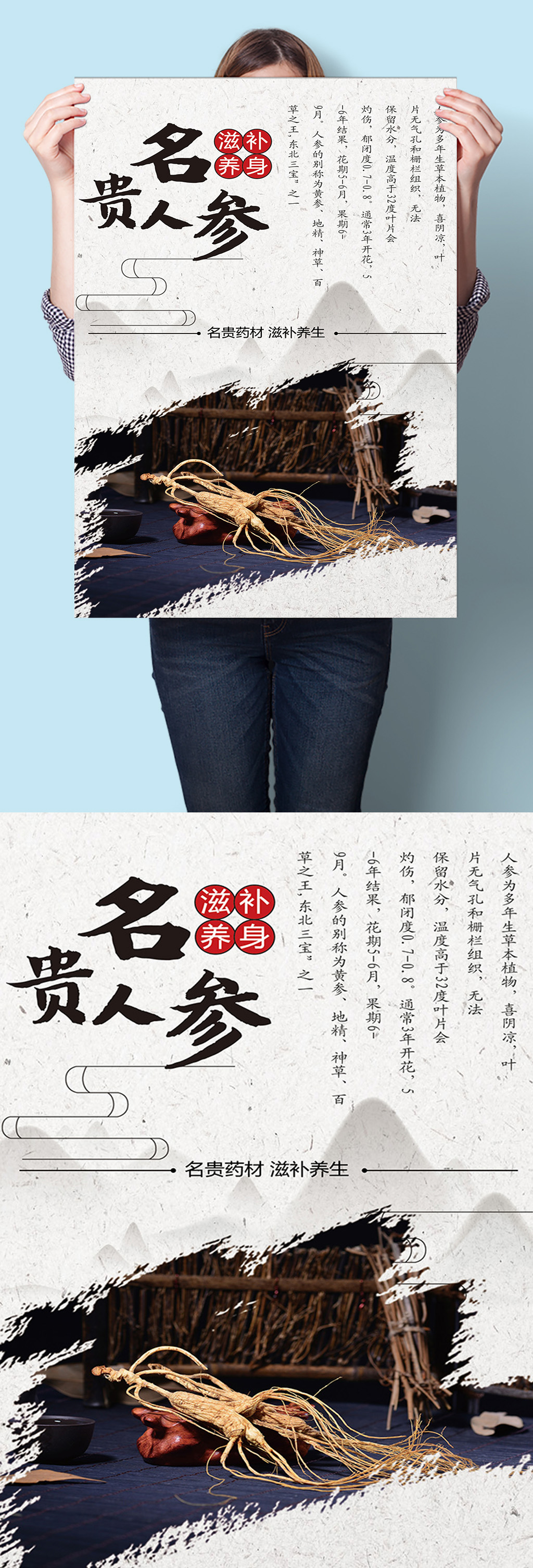 人参中医中草药材海报挂图墙画素材