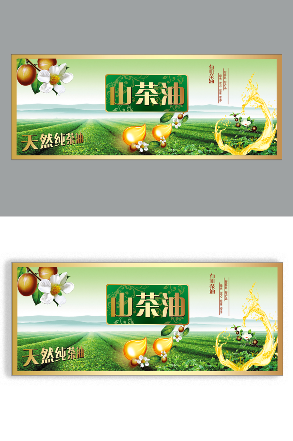山茶油标签海报展板素材
