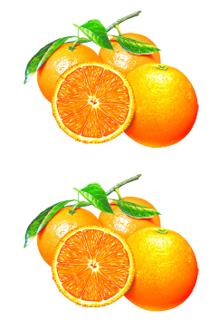 脐橙水果橙子桔子橙红色