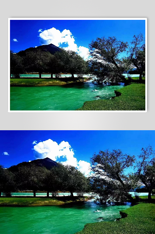 西藏林芝风景图绿水湖泊