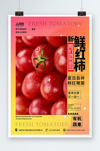 简约有机番茄西红柿蔬果海报