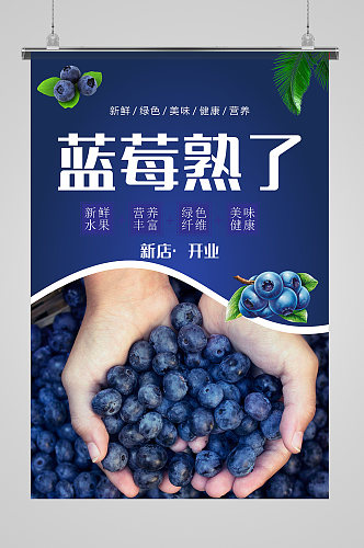 大气蓝莓熟了海报