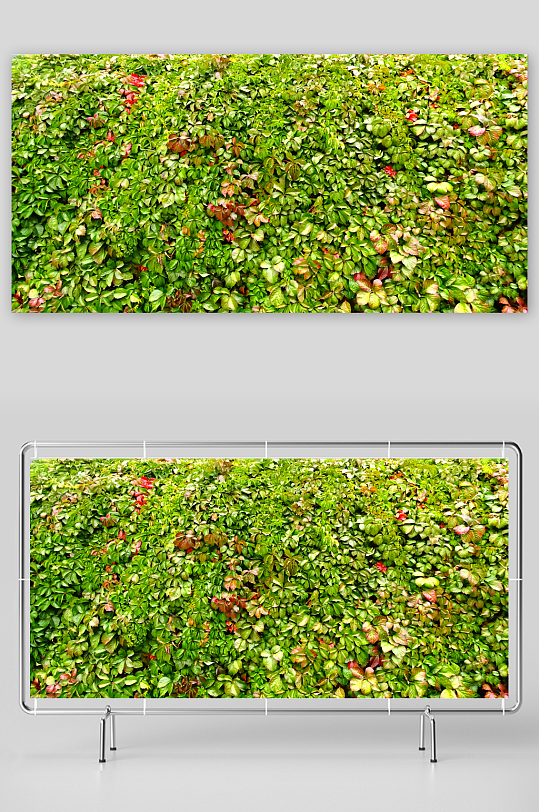 秋天绿叶围墙装饰墙