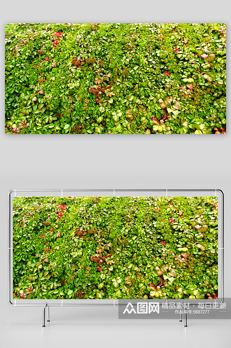 秋天绿叶围墙装饰墙素材