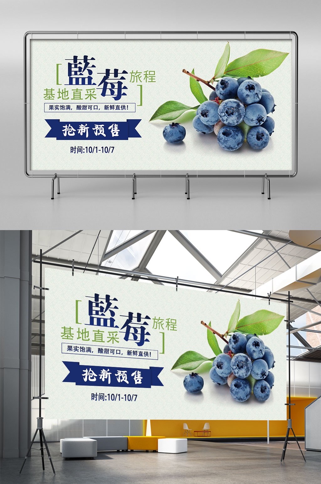 新鲜上市蓝莓展架素材