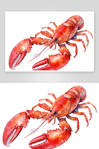 小龙虾海鲜食物插画