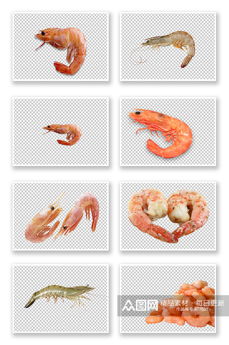 新鲜小虾写实素材素材