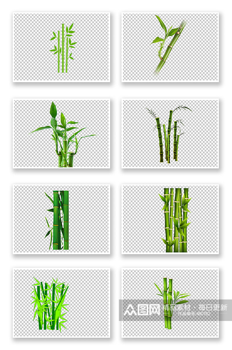 中国风绿色竹林竹子素材