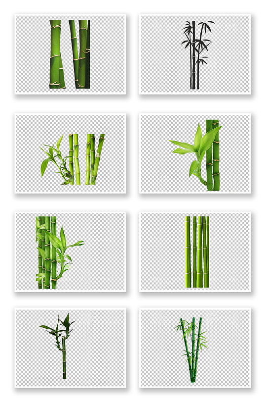 植物竹子实物元素