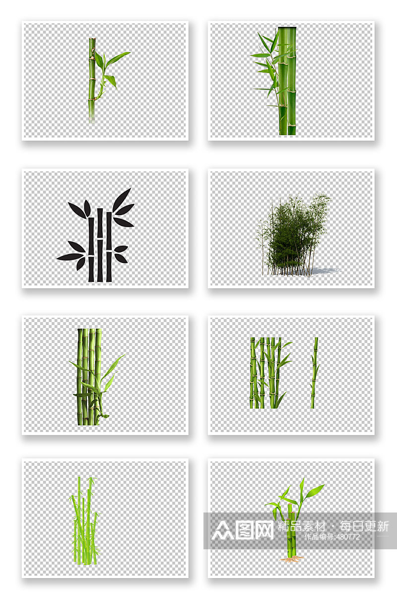 竹子竹叶植物写实素材