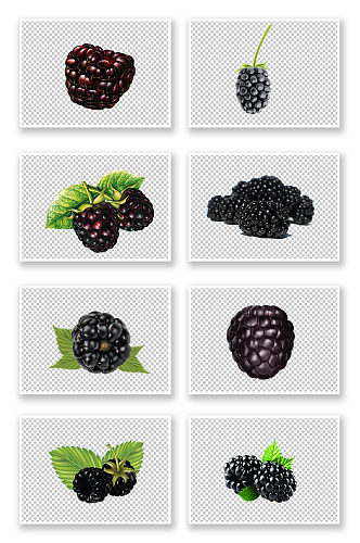 覆盆子黑莓水果实拍