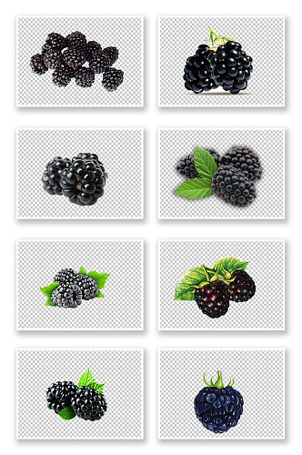黑莓水果覆盆子食物