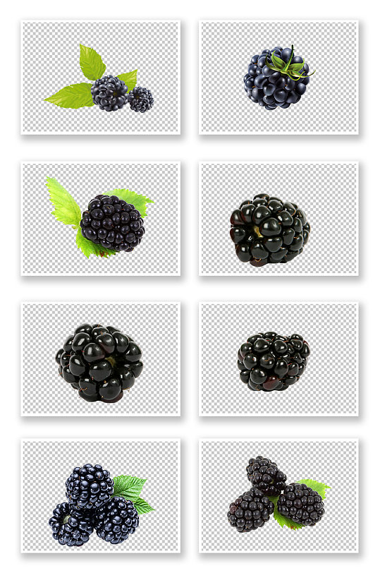 黑莓水果食物实拍高清