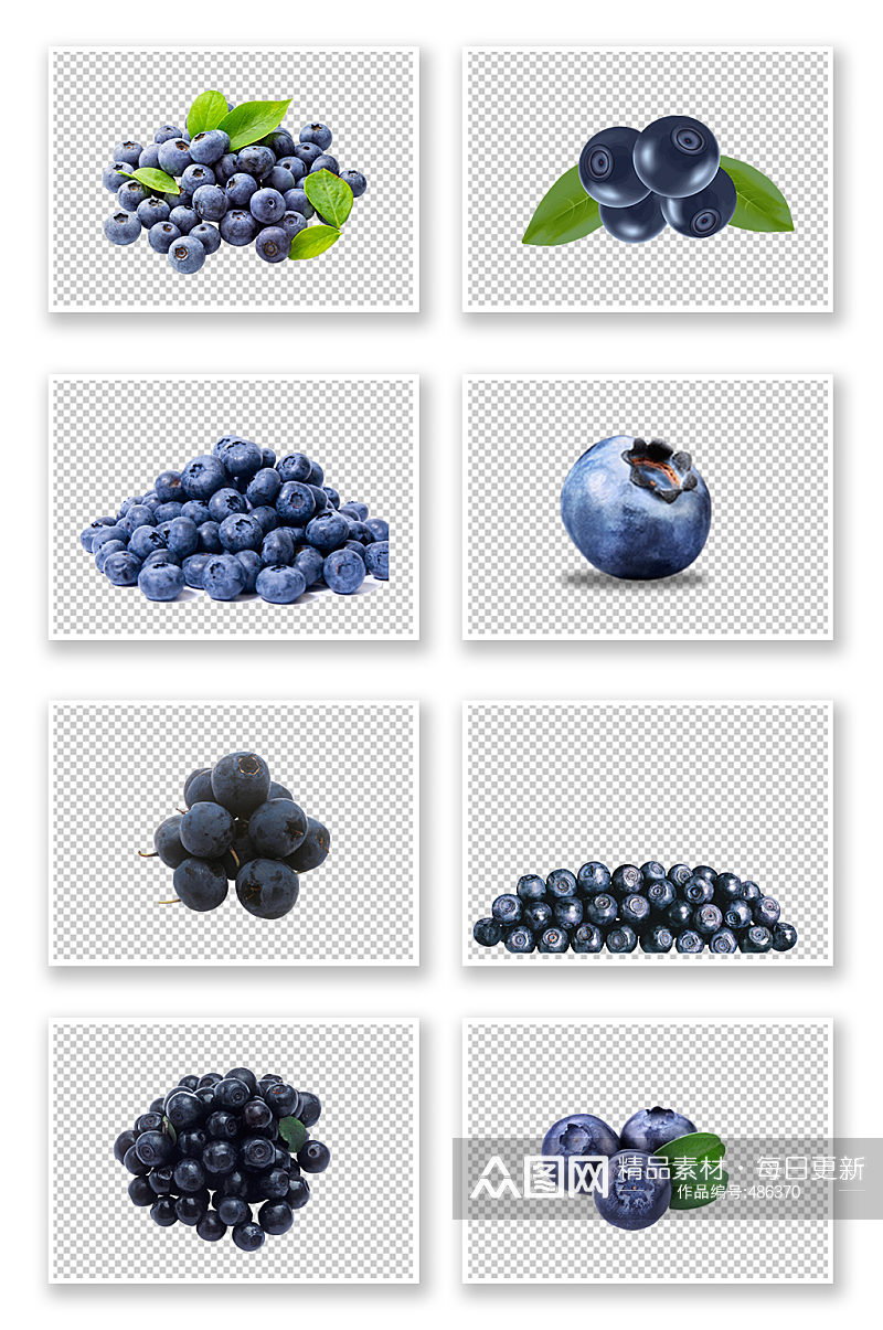 美味好吃的蓝莓纯天然素材