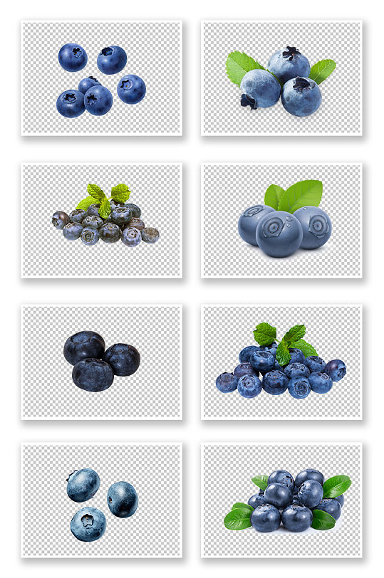 营养丰富绿色蓝莓