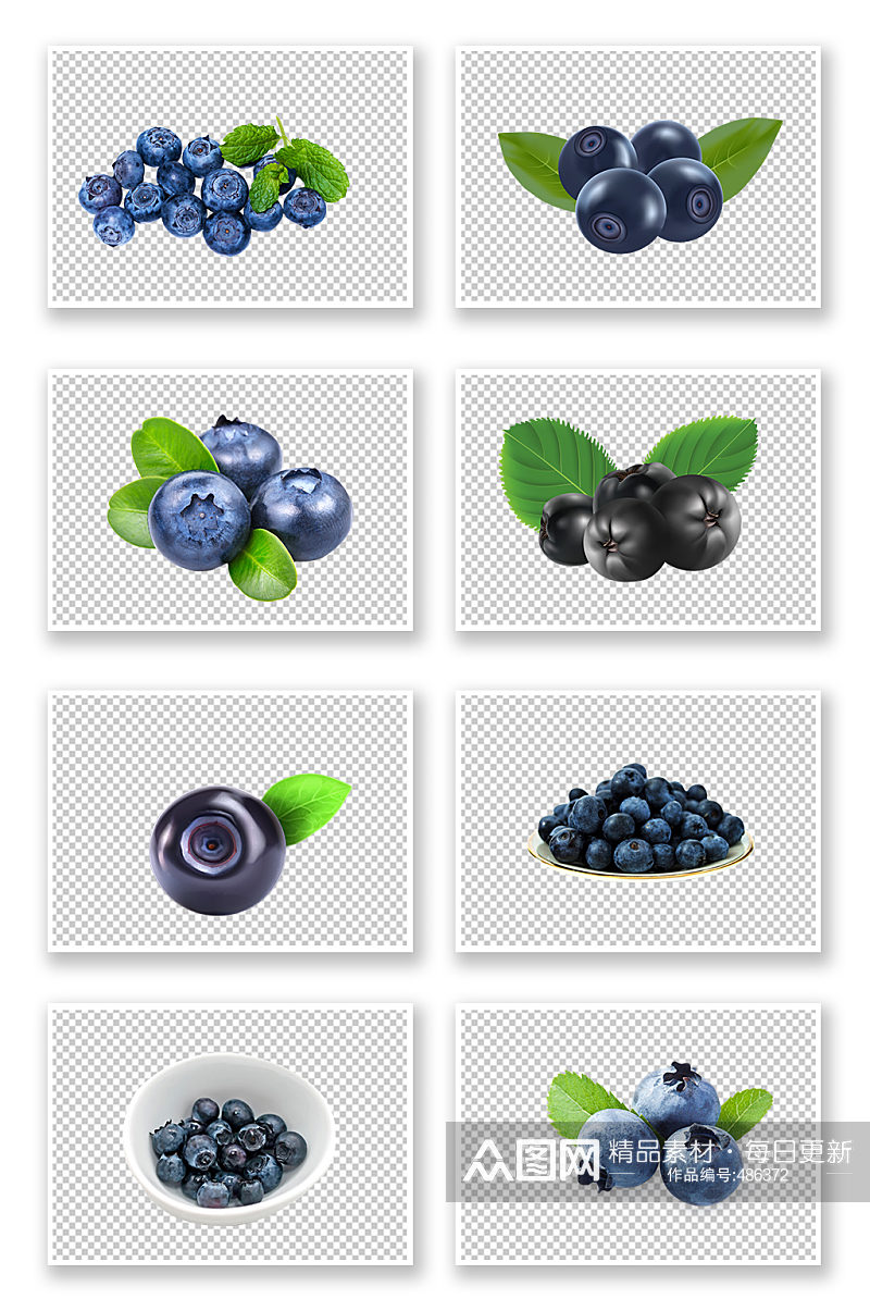 蓝莓水果养生食物素材