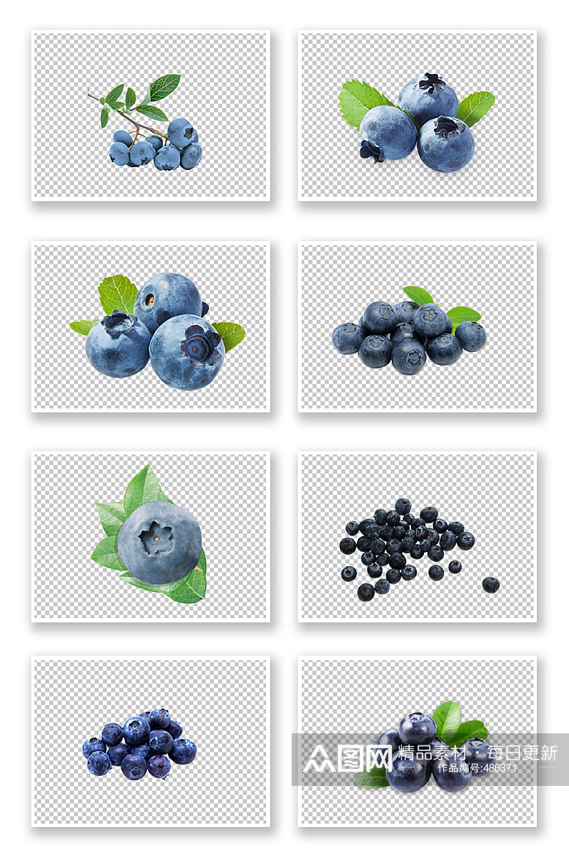 美味的蓝莓水果食物素材