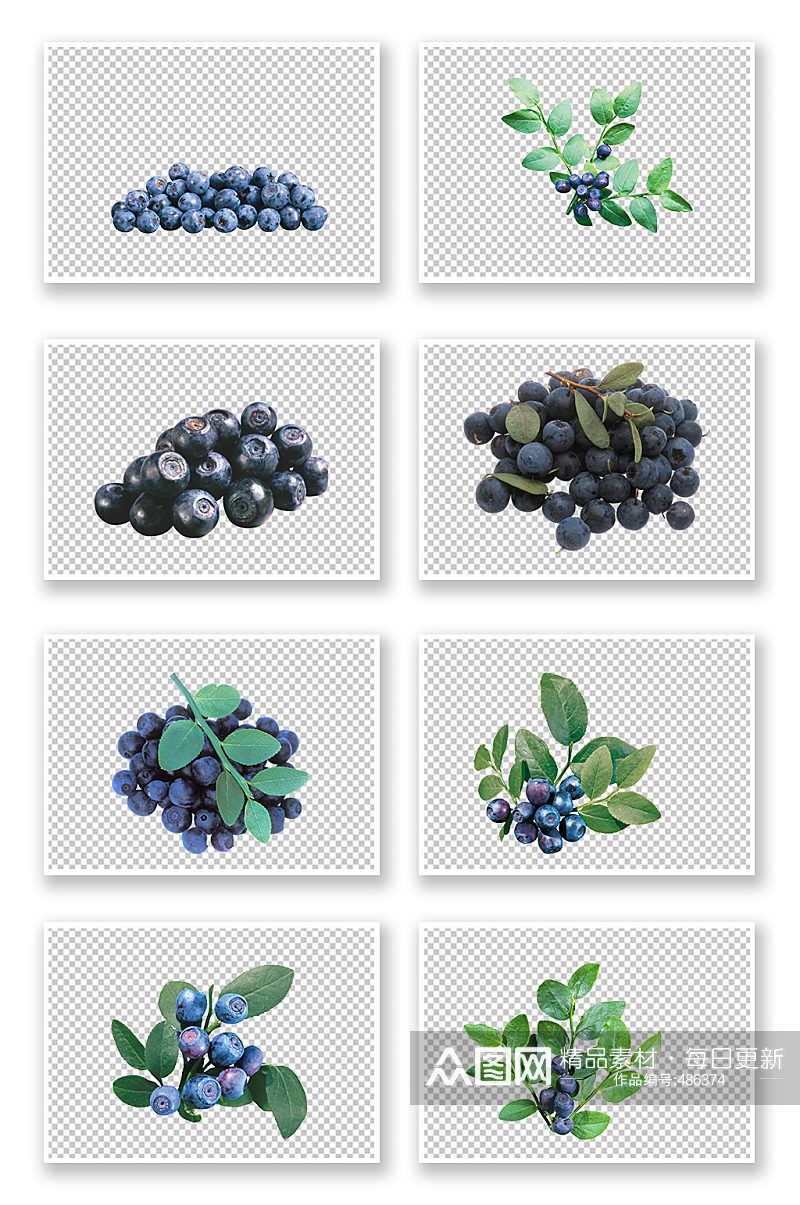 纯天然蓝莓好吃营养素材