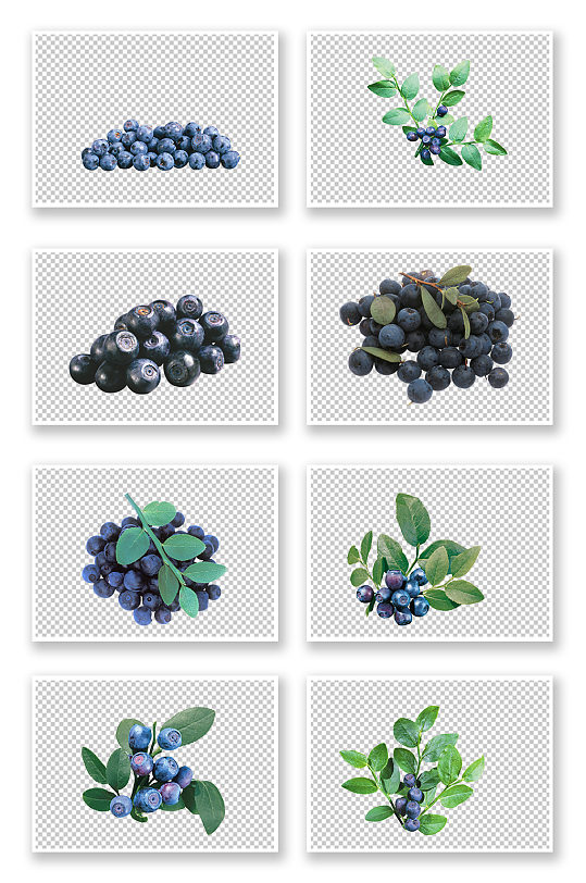纯天然蓝莓好吃营养