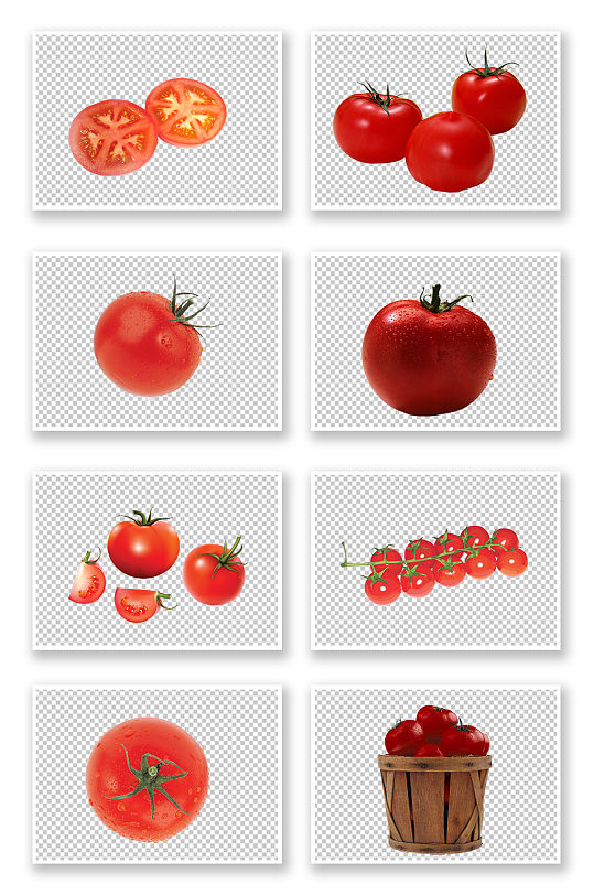 时令蔬果西红柿展示