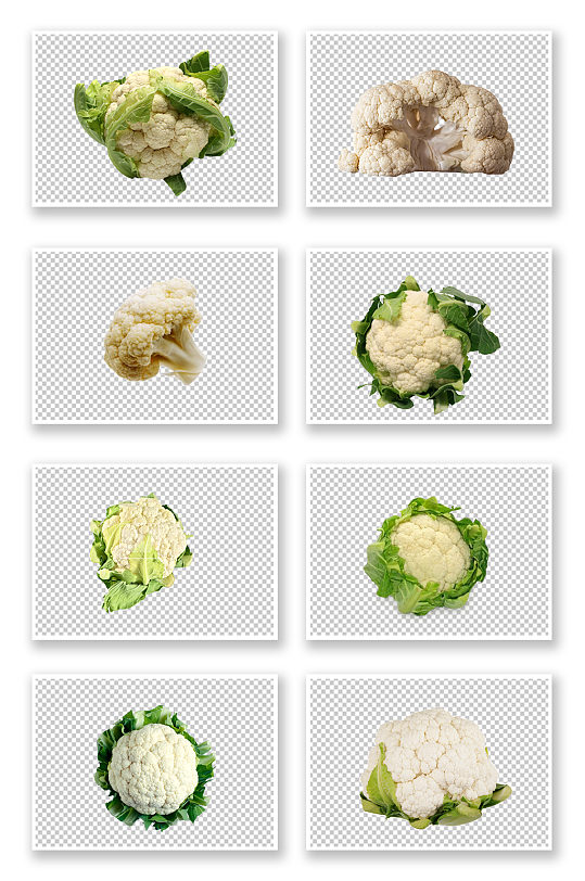 花椰菜图片 花椰菜素材下载 众图网